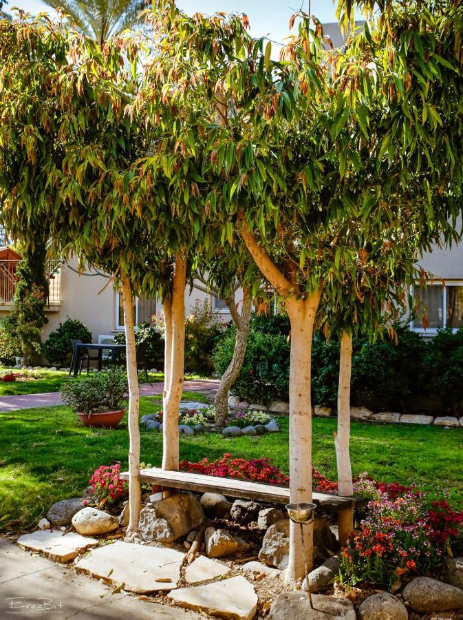 Shaar Hagolan Kibbutz Country Lodging Extérieur photo