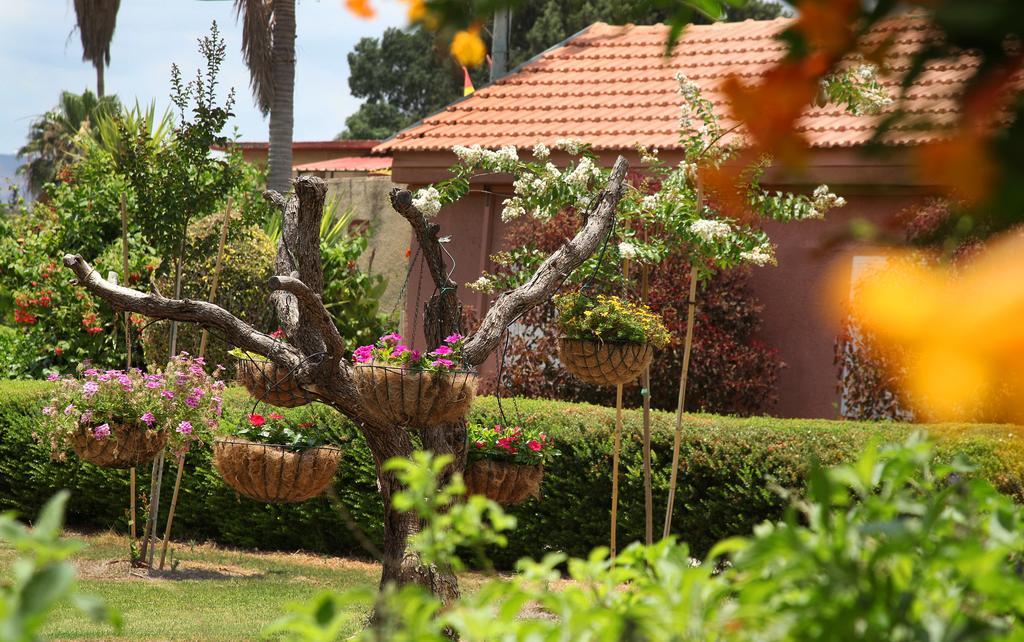Shaar Hagolan Kibbutz Country Lodging Extérieur photo